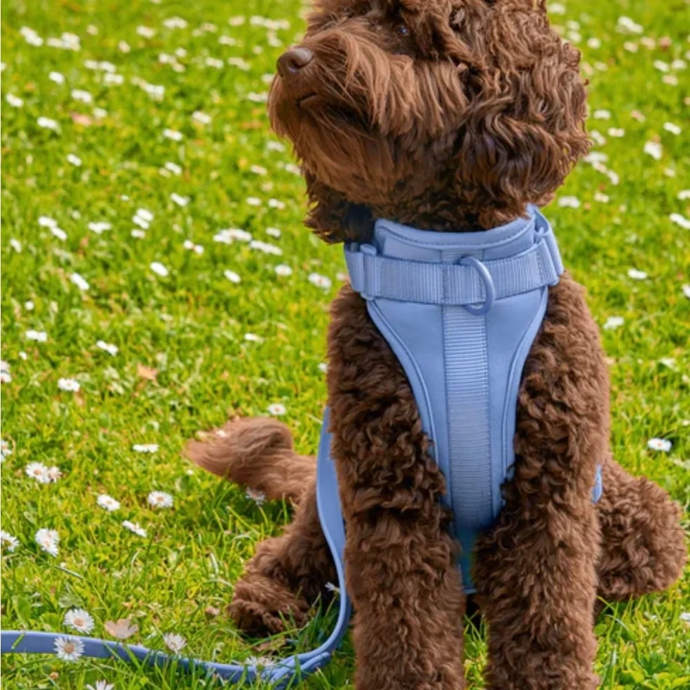 Wild One Dog Harness 3.0 - XS - Moonstone